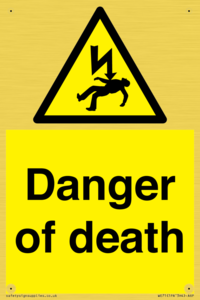 Danger of death